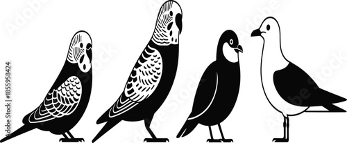 Modular Collection of Four High-Contrast Avian Silhouettes Featuring Budgerigars, a Songbird, and a Seagull for Pet Shop and Coastal Nature Branding.