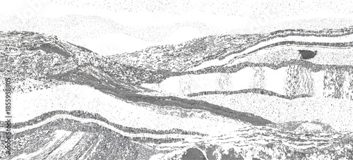 Vintage abstract rock strata pattern with organic wave lines textured. sandstone sedimentary rock formation natural earth strata background.