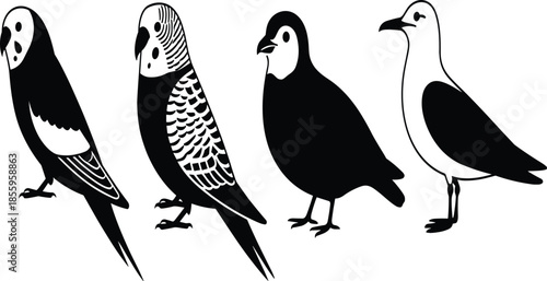 Modular Collection of Four Tilted High-Contrast Avian Silhouettes Featuring Budgerigars and Coastal Birds for Dynamic Pet and Nature Branding.