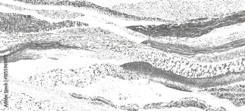 Vintage abstract rock strata pattern with organic wave lines textured. sandstone sedimentary rock formation natural earth strata background.