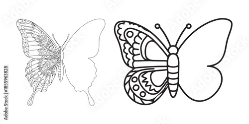 Butterfly Symmetry Coloring Book Page Line Art Set