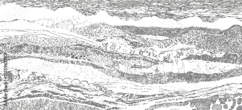 Vintage abstract rock strata pattern with organic wave lines textured. sandstone sedimentary rock formation natural earth strata background.