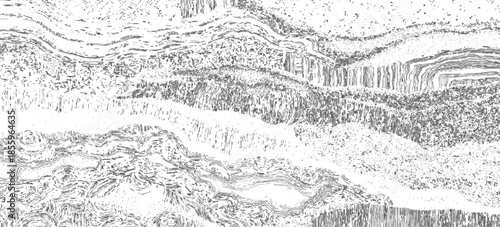 Vintage abstract rock strata pattern with organic wave lines textured. sandstone sedimentary rock formation natural earth strata background.