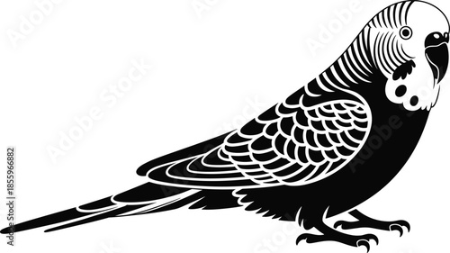 High-Contrast Black and White Silhouette Illustration of a Budgerigar Parakeet with Detailed Wing Patterns for Pet and Nature Branding.