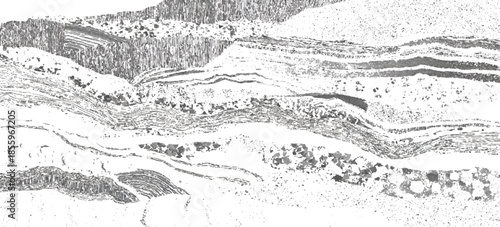 Grunge geological strata background with black and white layered lines. seamless abstract geology layers texture design.