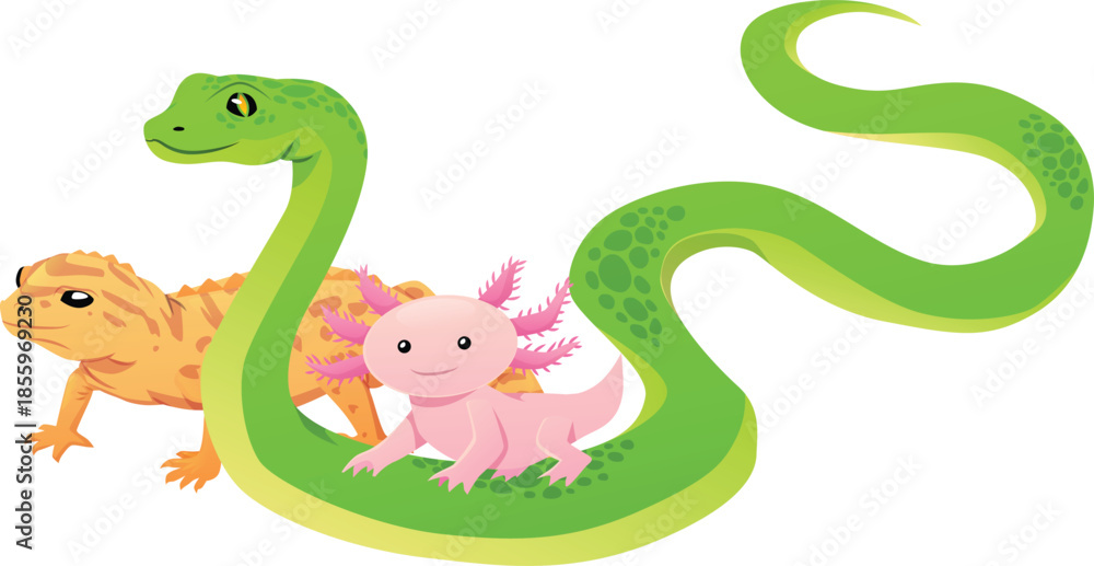 Fototapeta premium Green snake, yellow lizard, and pink axolotl, exotic terrarium animals.