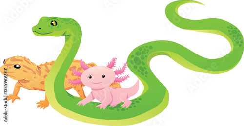 Green snake, yellow lizard, and pink axolotl, exotic terrarium animals.