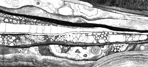 Grunge geological strata background with black and white layered lines. seamless abstract geology layers texture design.