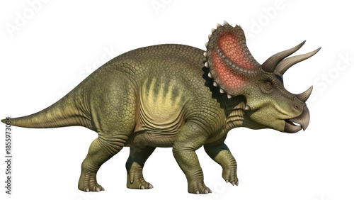 Isolated Triceratops walking side view against background animal wildlife creature dinosaur