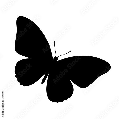 butterfly vector illustration PNG isolated on transparent background