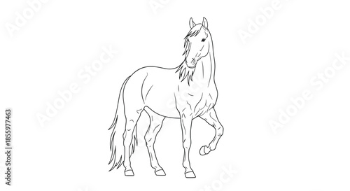 A simple and elegant black and white line art illustration of a graceful horse standing with one leg raised.