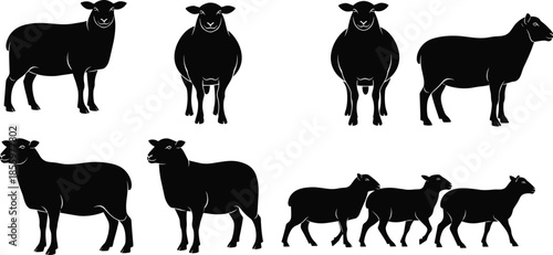 Sheep silhouettes vector set, farm animals clipart, lamb icons, livestock illustration, black sheep shapes, rural graphic, editable design elements