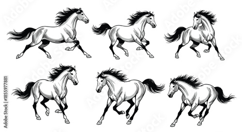 A sequence of six animation frames showing a powerful and beautiful horse galloping in a classic black and white style.