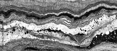 Grunge geological strata background with black and white layered lines. seamless abstract geology layers texture design.