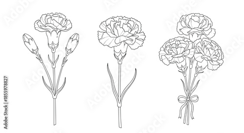 A set of three black and white line art illustrations of carnation flowers including buds and a small bouquet.