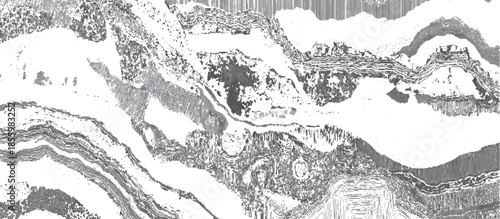 Grunge geological strata background with black and white layered lines. seamless abstract geology layers texture design.