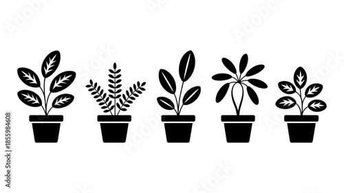 A row of five black silhouettes of potted houseplants for home decoration