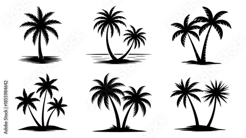 A collection of different black silhouettes of palm trees