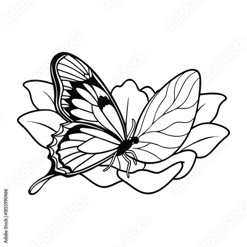 Butterfly silhouette on flower petal