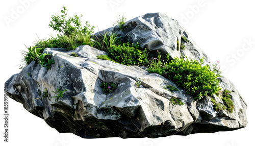 Large textured gray rock formation with patches of vibrant green vegetation growing on it