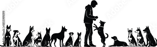 Dog training silhouette with person and multiple dogs, obedience session, pet discipline, animal care, symmetrical group interaction scene, flat vector