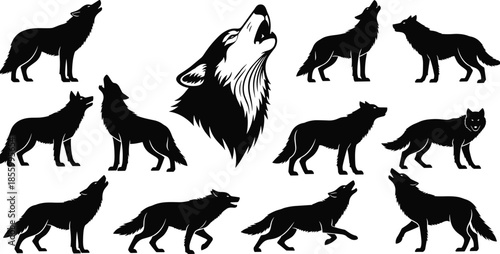 Collection of howling wolf silhouettes and predator profiles in black and white vector style cad drawing flat vector illustration