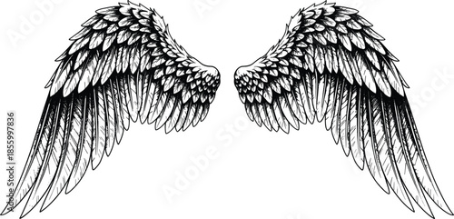 Detailed pair of feathered bird wings in flight stippling art vector illustration featuring realistic plumage and organic textures cad drawing flat vector illustration