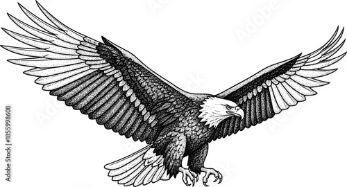 Majestic bald eagle in flight stippling art vector illustration featuring spread wings and predator claws in black and white cad drawing flat vector illustration