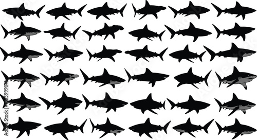 Shark silhouette pattern with visual anomaly, marine animal icons for cognitive test, educational activity, visual discrimination, sea life concept