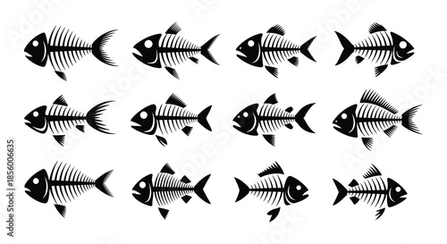 A collection of detailed black and white fish skeleton illustrations arranged in rows