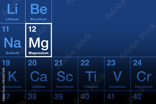 Magnesium element on the periodic table. Alkaline earth metal with atomic number 12 and symbol Mg, from the Greek word for the ancient tribe Magnetes. Essential element to all cells and many enzymes.