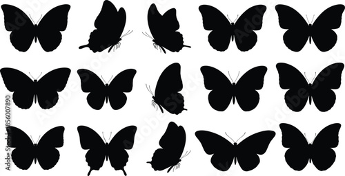 Butterfly silhouettes collection isolated on white background, black insect shapes set, elegant nature illustration for design, decoration, branding