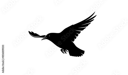 Dynamic flying starling bird silhouette vector illustration for nature and wildlife design