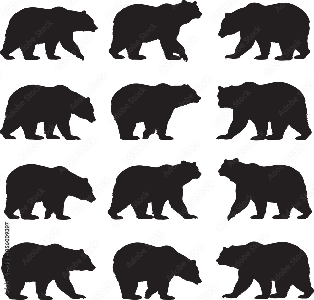 Fototapeta premium collection of bear silhouettes walking in different directions