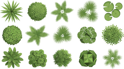 Acrylglasbilder Pistache Set of top view landscape plant icons featuring diverse green trees palms and shrubs for architectural site plan design.  © MstBobita