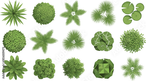 Set of top view landscape plant icons featuring diverse green trees palms and shrubs for architectural site plan design.