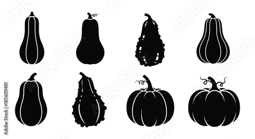 Black and white silhouettes of various gourd and pumpkin shapes displayed