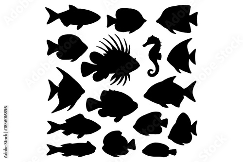 set of fish silhouettes,
Most Popular Sea Fish Silhouettes Set – Vector Illustration