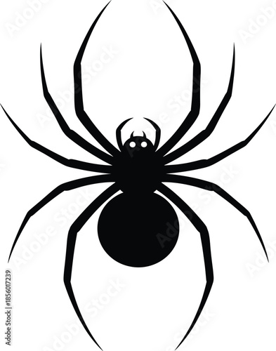 Flat vector silhouette illustration of a black spider with long legs isolated on white background for Halloween spooky nature and arachnid animal design concepts