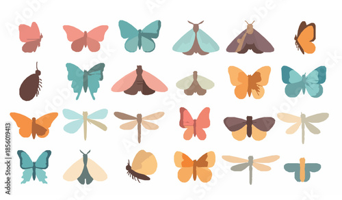 Cute colorful butterflies moths and dragonflies flying insects hand drawn flat vector set