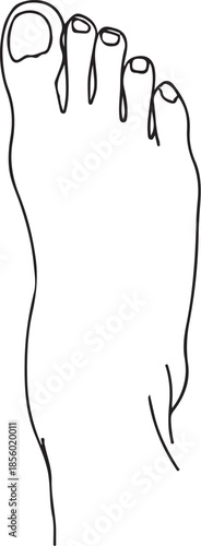 Foot with Pedicure Hand-drawn Sketch Drawing Vector Illustration, Line Linear Symbol Engraving Coloring Book, Black and White Isolated