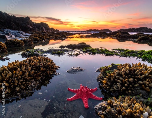 AI Generated Mountain Landscape with Green Hills and Dramatic Sky and star fish