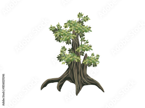bonsai tree vector illustrations isolated on white