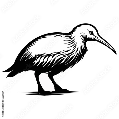 Kiwi Bird Vector Art Design