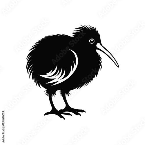 Kiwi Bird Vector Art Design