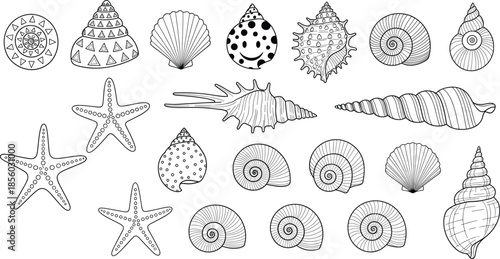 Black and white linear vector icon set featuring various sea shells starfish and nautical elements isolated on a white background