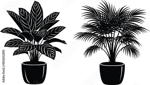 Potted plant silhouettes, broad and frond leaves, indoor decor, black and white art, botanical contrast, elegant design, plant motif