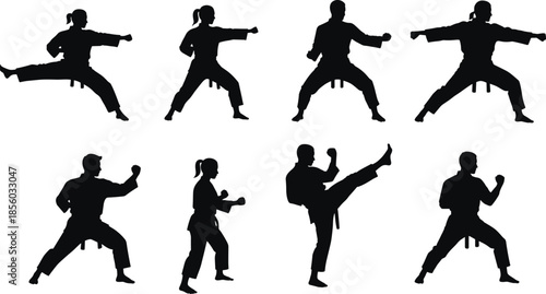 Martial arts silhouette, karate pose, high kick, defensive stance, black figure, combat training, discipline, strength, uniform, belt, action