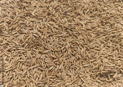 Close up shot of pile of  cumin seeds.
