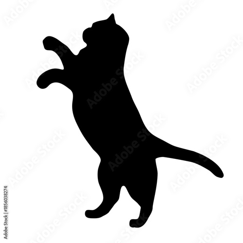 black cat silhouette
